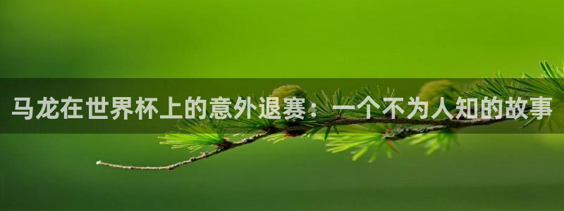 世界杯系列赛：马龙在世界杯上的意外退赛：一个不为人知的故事