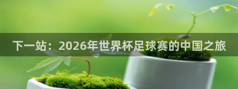 2026世界杯欧洲预选赛赛程表：下一站：2026年世界杯足球赛的中国之旅