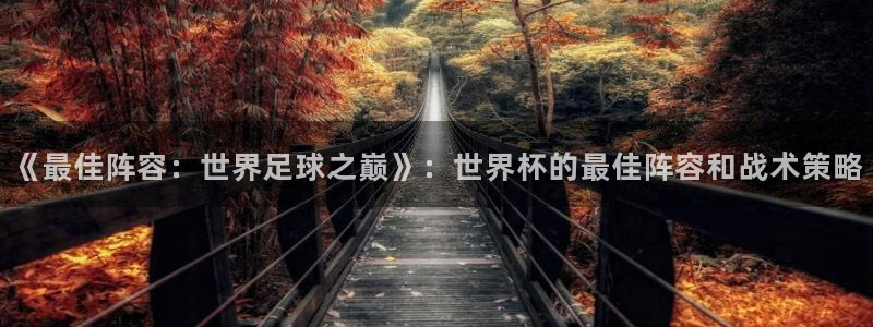 世界杯：《最佳阵容：世界足球之巅》：世界杯的最佳阵容和战术策略