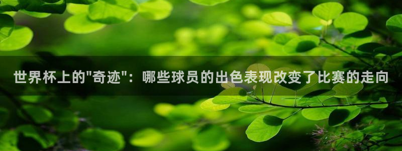 世界杯第一场比赛：世界杯上的\