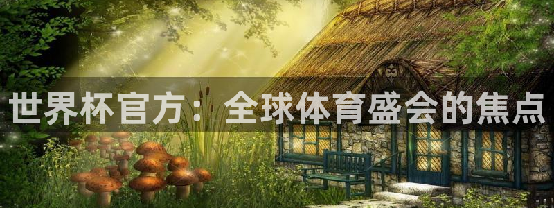 世界杯系列赛：世界杯官方：全球体育盛会的焦点