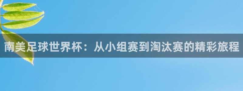 2006年世界杯冠军：南美足球世界杯：从小组赛到淘汰赛的精彩旅程