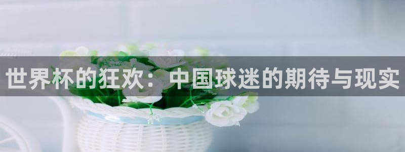 世界杯足球直播：世界杯的狂欢：中国球迷的期待与现实