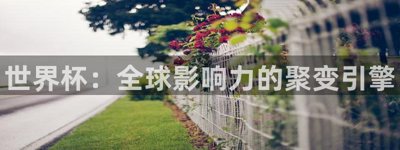 亚洲区世界杯预选赛：世界杯：全球影响力的聚变引擎