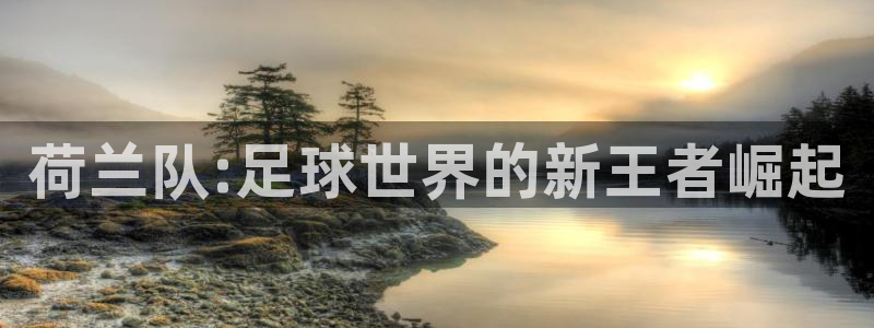 2026世界杯亚洲预选赛：荷兰队:足球世界的新王者崛起