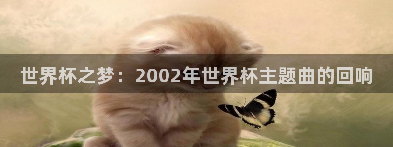 2026世界杯直播免费观看：世界杯之梦：2002年世界杯主题曲的回响