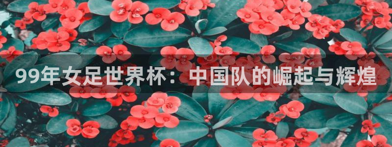 2026世界杯亚洲预选赛赛程：99年女足世界杯：中国队的崛起与辉煌
