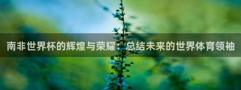 世界杯直播在线观看入口：南非世界杯的辉煌与荣耀：总结未来的世界体育领袖