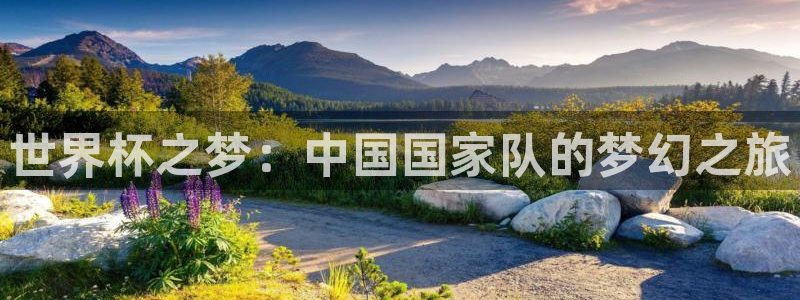 世界直播：世界杯之梦：中国国家队的梦幻之旅