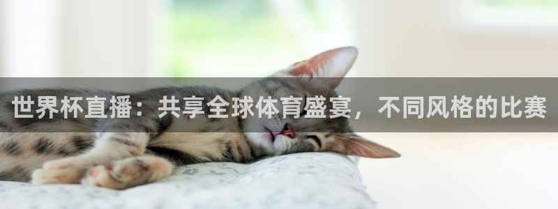 世界杯预选赛亚洲：世界杯直播：共享全球体育盛宴，不同风格的比赛