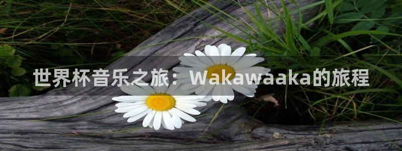 2026足球世界杯赛程：世界杯音乐之旅：Wakawaaka的旅程
