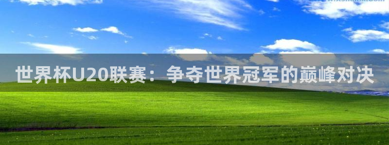 世界杯预选赛欧洲：世界杯U20联赛：争夺世界冠军的巅峰对决
