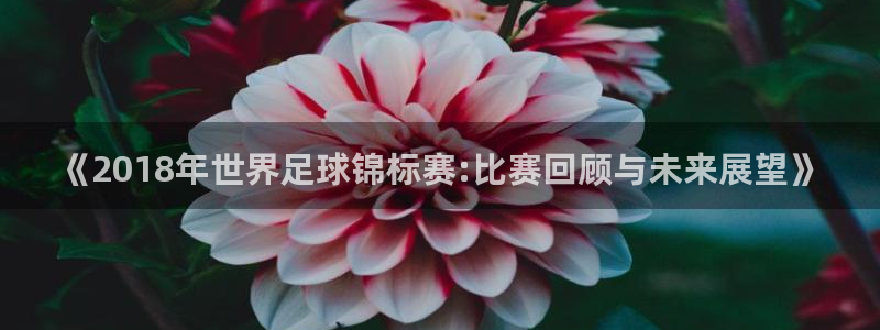 世界杯亚洲区预选赛赛程：《2018年世界足球锦标赛:比赛回顾与未来展望》