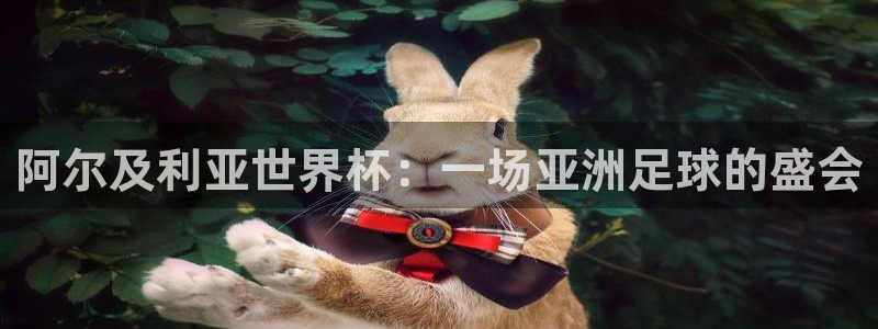 欧洲区世界杯预选赛：阿尔及利亚世界杯：一场亚洲足球的盛会