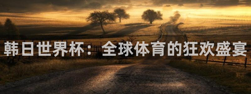 2026世预赛全部赛程：韩日世界杯：全球体育的狂欢盛宴