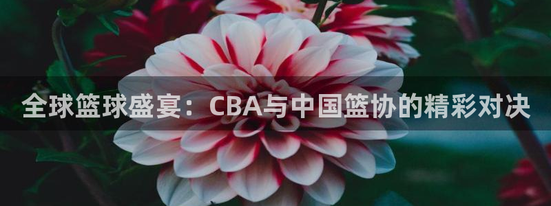 世界杯官网：全球篮球盛宴：CBA与中国篮协的精彩对决